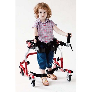 Wenzelite Star Posterior Gait Trainer